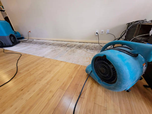 Professional Emergency Water Damage technician working in Witten, SD